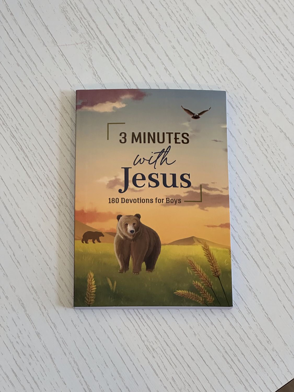 3 Minutes with Jesus 180 Devotions for Boys