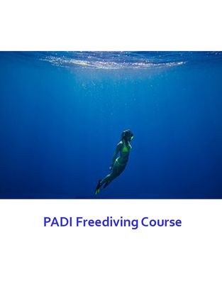 PADI Freediver Course