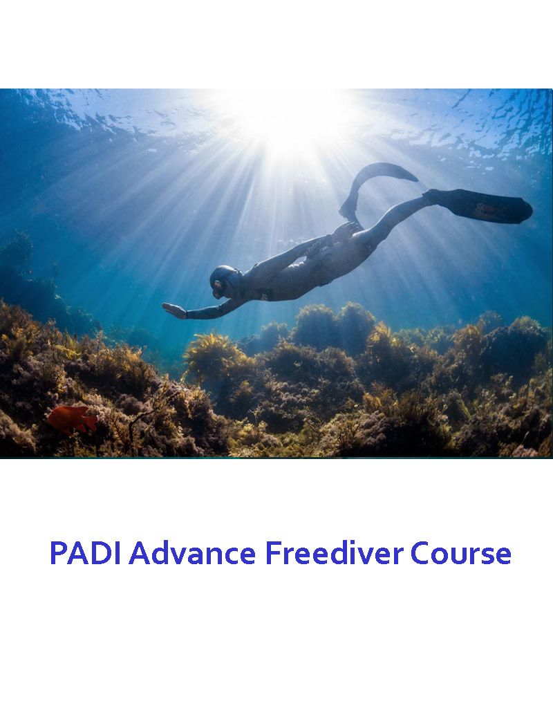 PADI ADVANCE FREEDIVER COURSE
