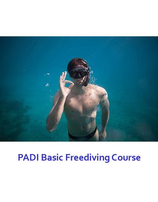 PADI Basic Freediver Course