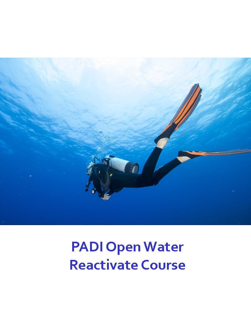 PADI OPEN WATER REACTIVATE (eLearning + 2 dives)