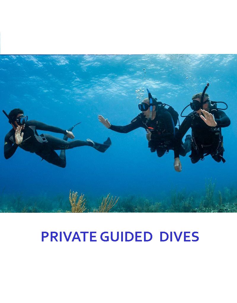 PRIVATE GUIDED DIVE - 4 DIVES (boat trip - 4 tanks included)