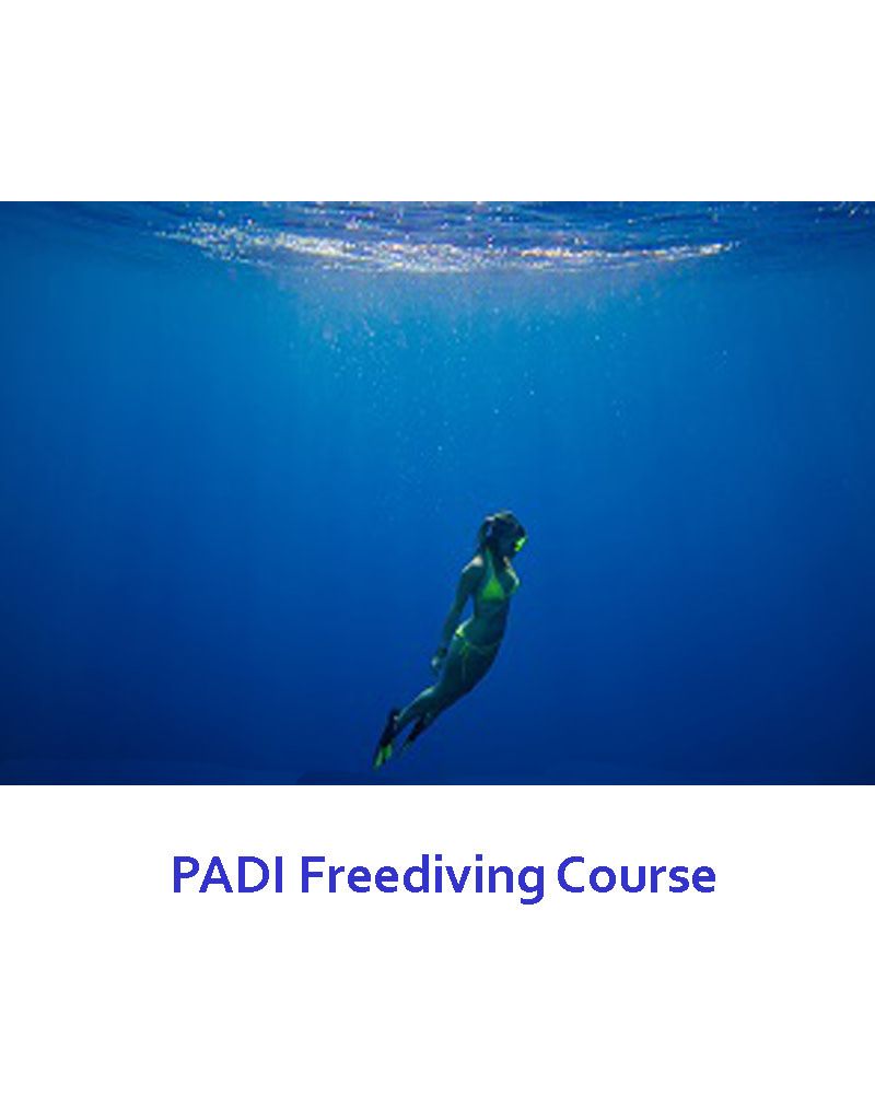 PADI Freediver Course, Dates: FLEXIBLE
