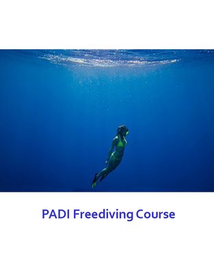 PADI Freediver Course, Dates: FLEXIBLE