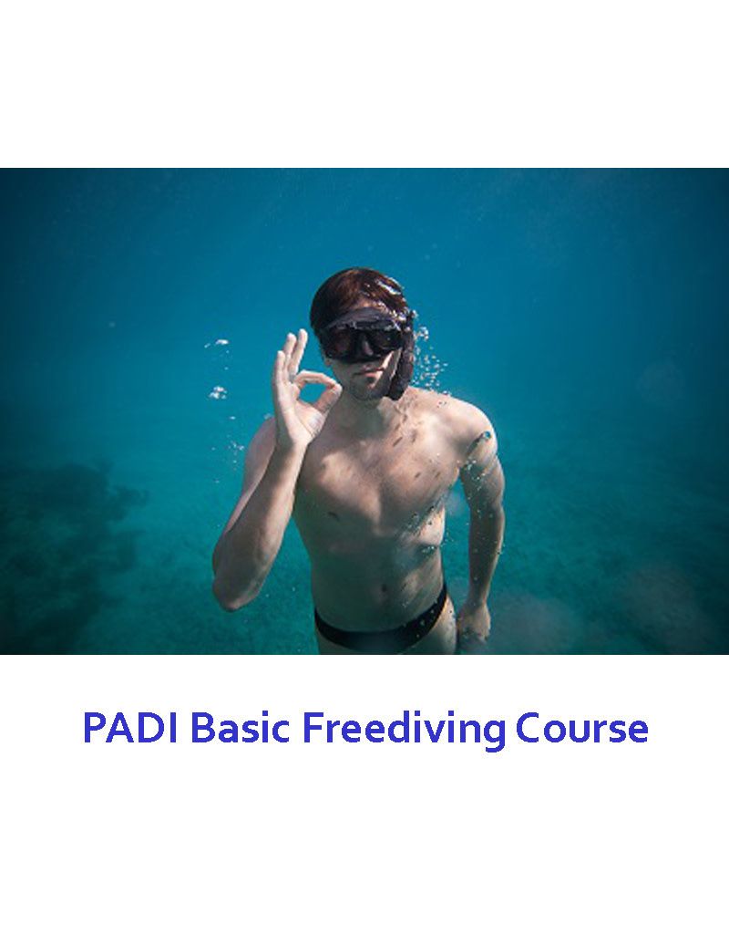 PADI Basic Freediver Course, Dates: Oct 15 - 16