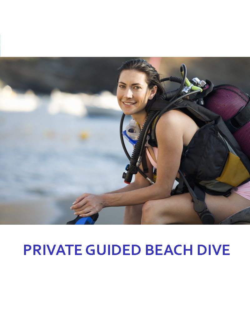 PRIVATE GUIDED DIVE - 2 DIVES (boat trip 2 tanks included)