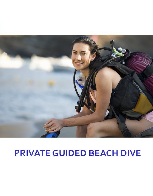 PRIVATE GUIDED DIVE - 2 DIVES (boat trip 2 tanks included)