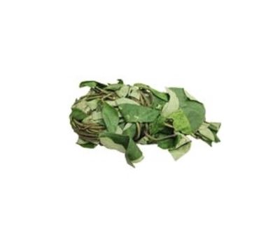 Fresh Uziza Leaves