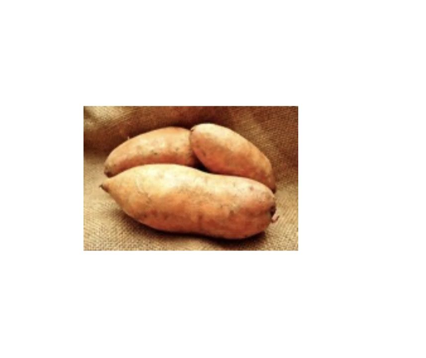Sweet White Potato £5.49kg