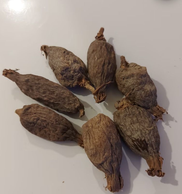 Alligator Pepper