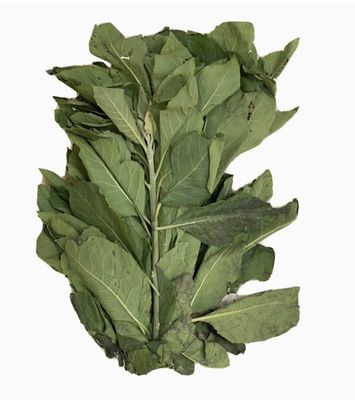 Bitter Leaves