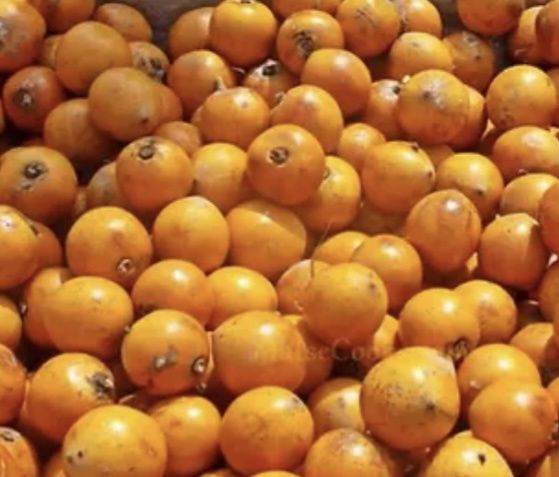 Udara Fruit (Agbalumo White Star Apple)