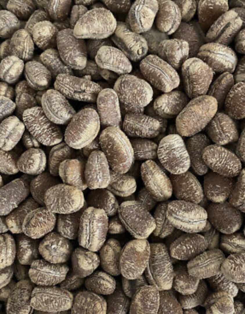 Ehuru African nutmeg
