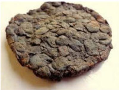 Iru/locust beans (dawa dawa by Igbo's)