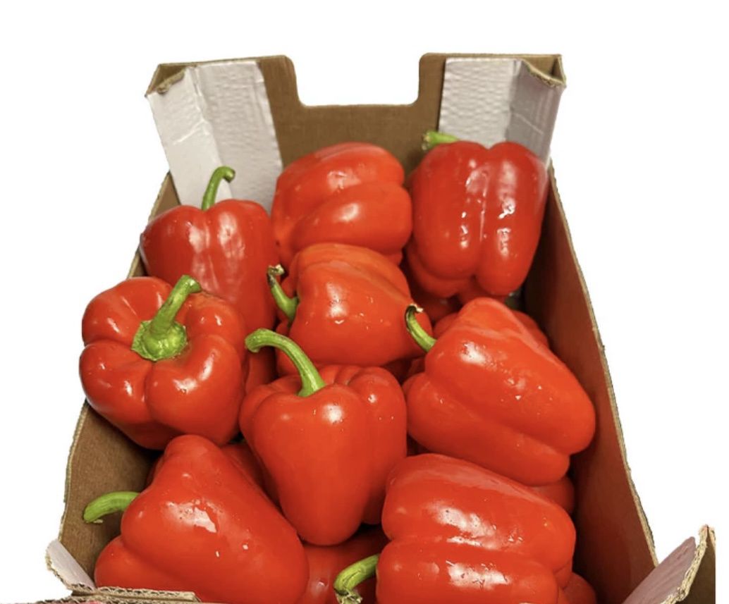 Fresh Red Bell Pepper  ( Box )
