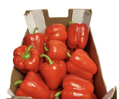 Fresh Red Bell Pepper  ( Box )