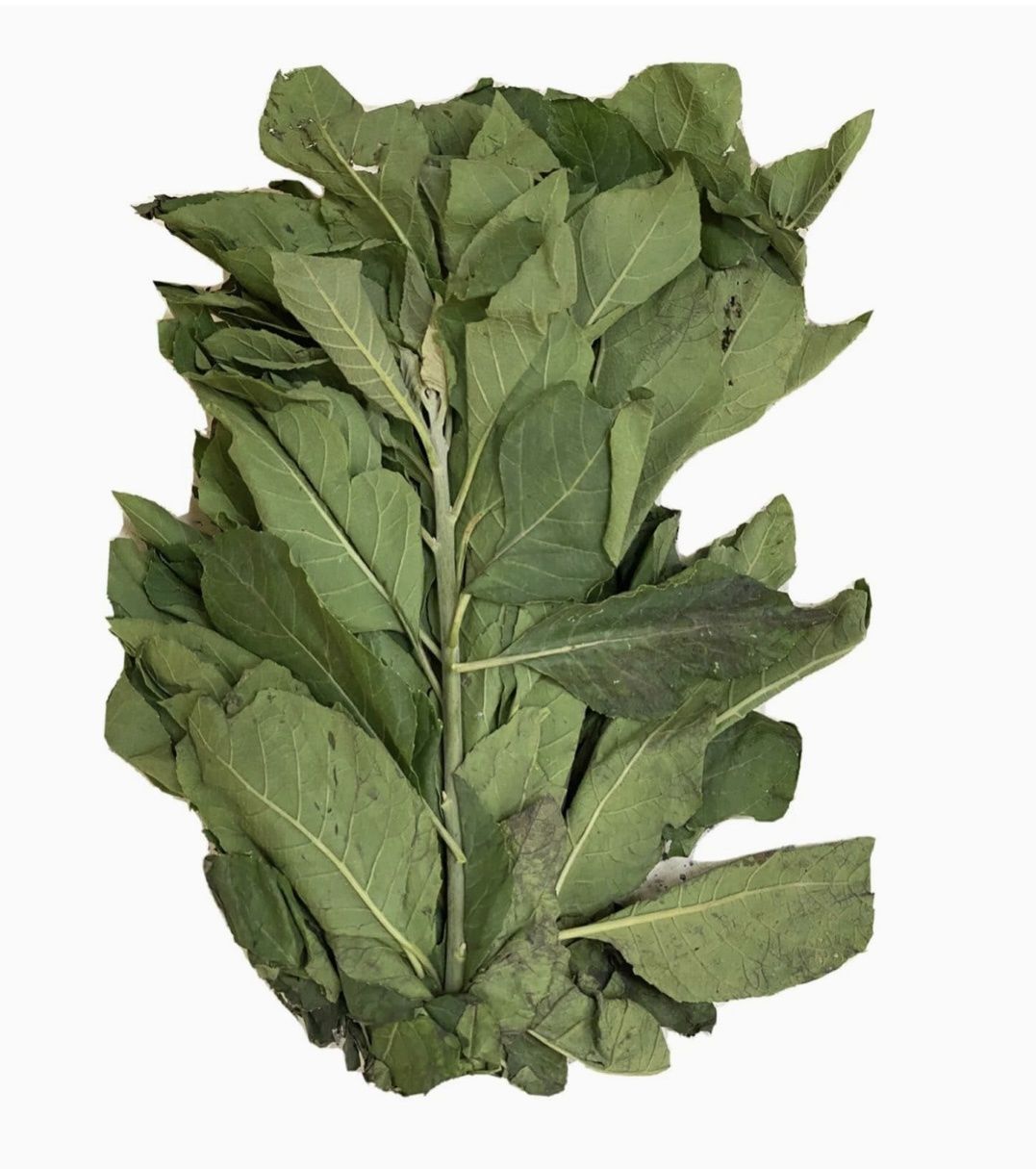 Bitter Leaves ( £1.99 )