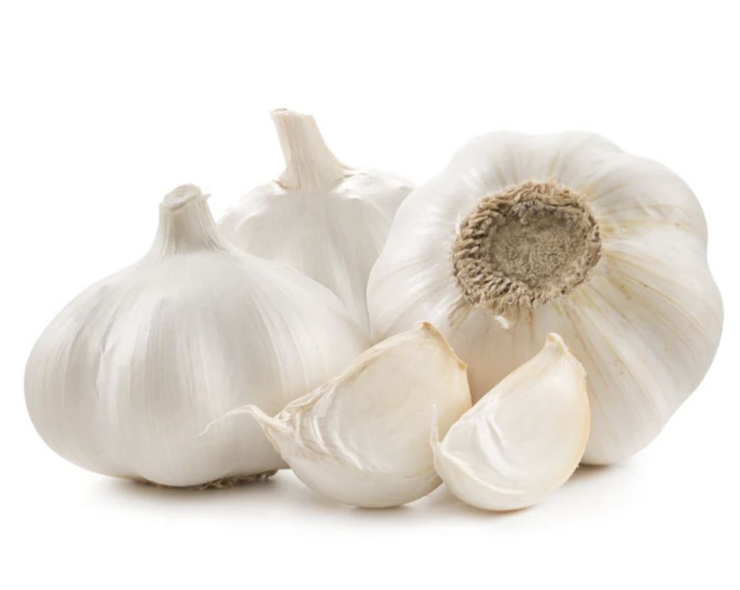 Fresh Whole Garlic ( Double )