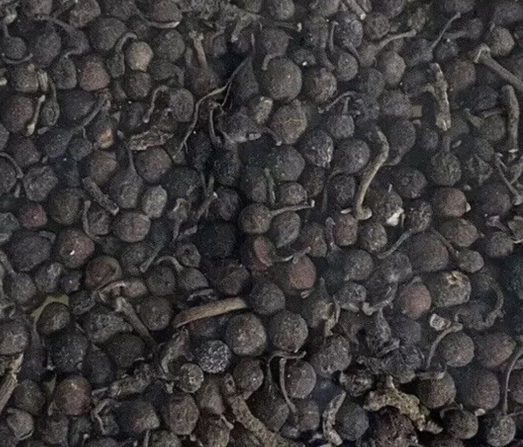 Uziza Seed