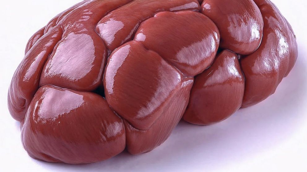 Frozen Beef Kidney 1kg