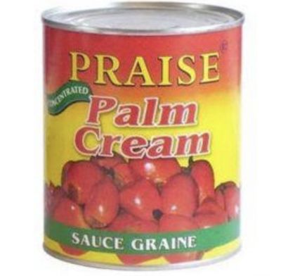 Praise Palm Cream 800g