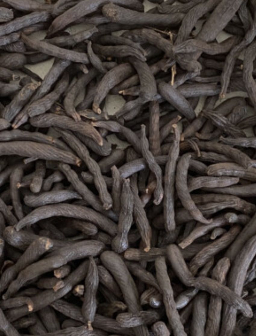 Uda Seed
