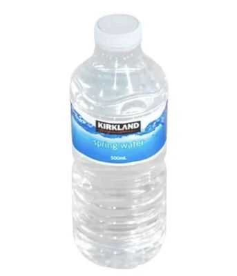 Kirkland Signature Spring Water 500ml