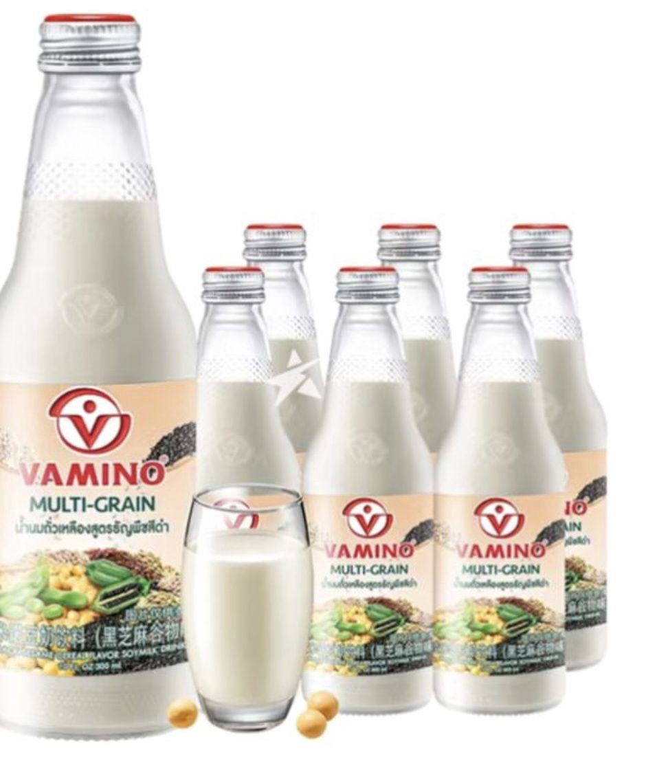Vamino Box (Multi-Grain) 24 Pack 300ml