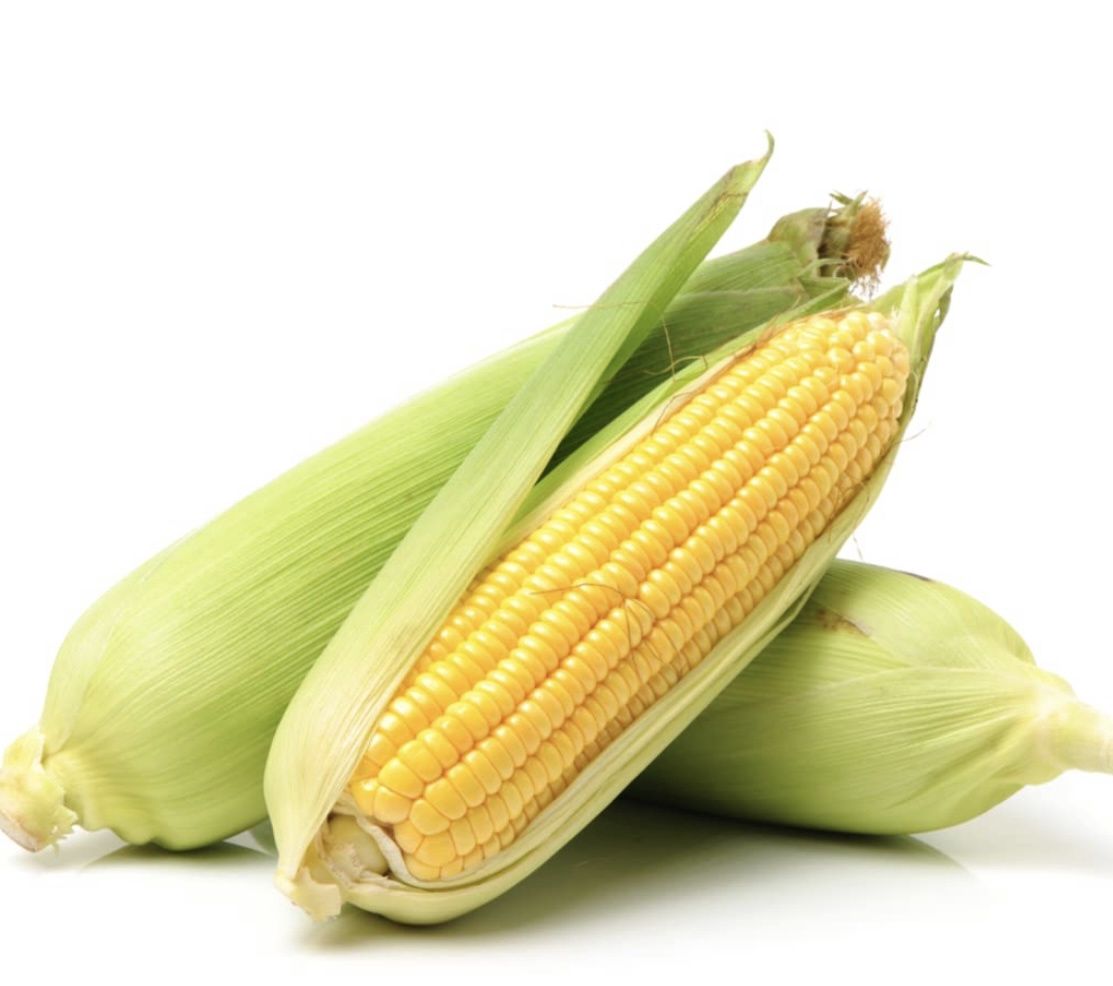 Fresh Corn On The Cob