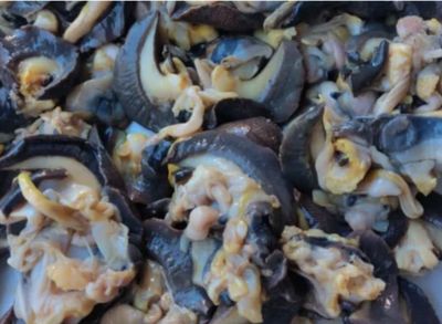 Fresh Snail Descaled &amp; Packed Jumbo Size