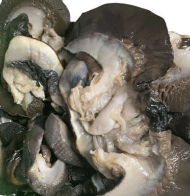 Fresh Snail Descaled &amp; Packed Jumbo Size