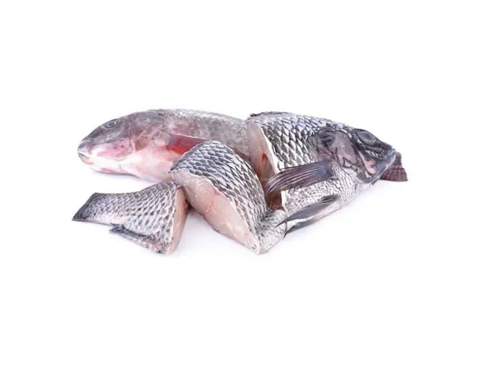 Tilapia Steak (Cut)