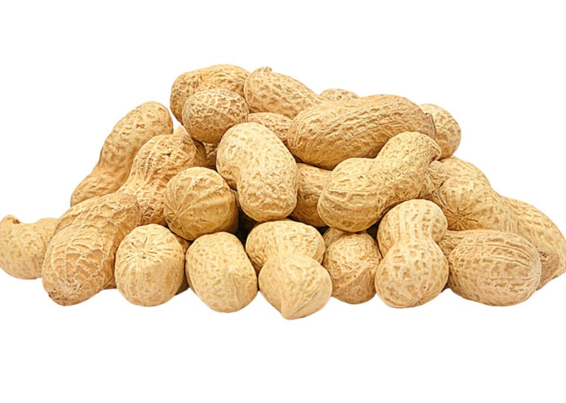 Fresh Raw Peanut  (in shell)