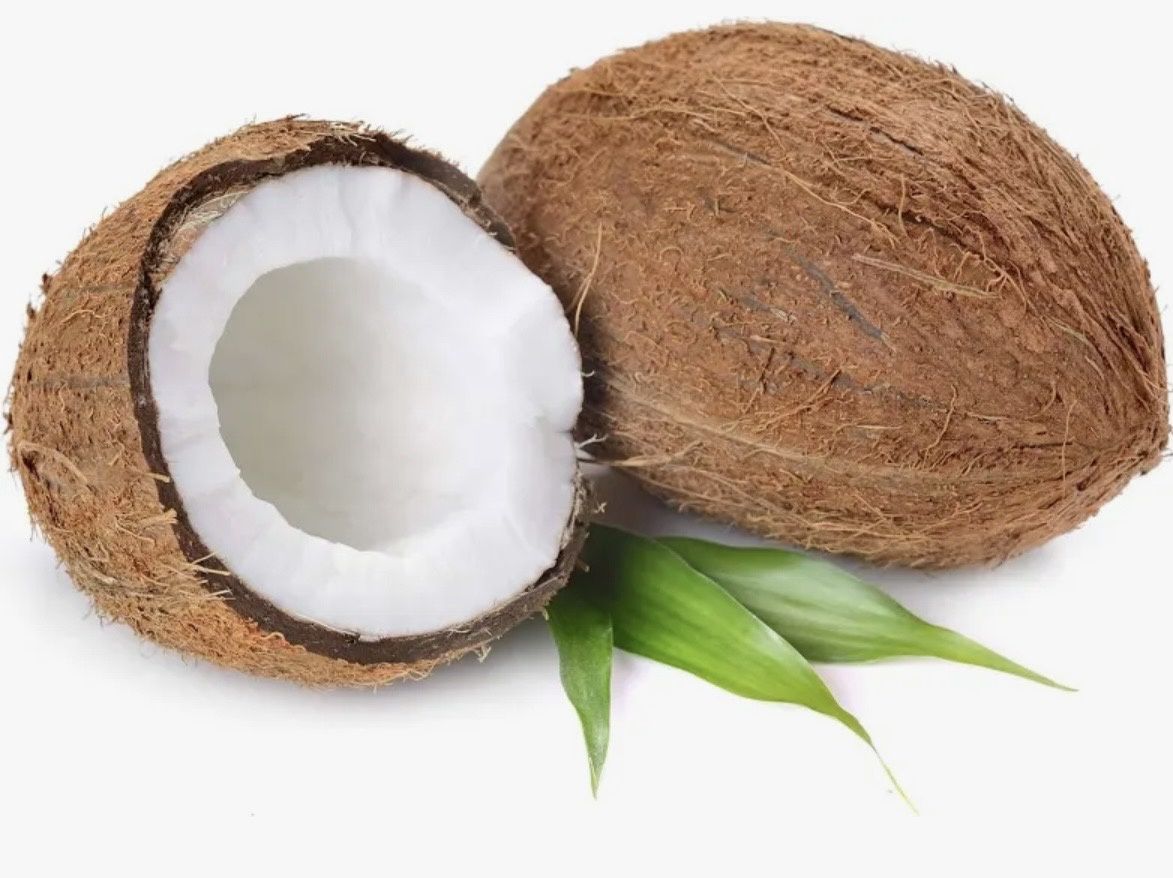 Fresh Coconut 1 Unit