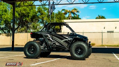 TMW RZR 2 seater Venom Series Sidewinder doors