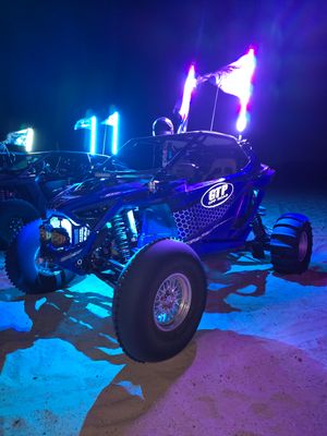 MB Whips 48&quot; Flash HD Whip Pair w/BT