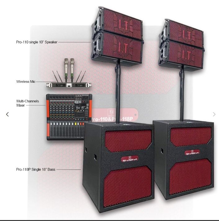 Pro-110 &amp;Pro-118P active speaker system