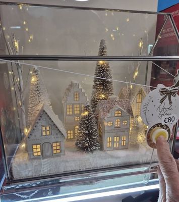 Light Up Winter Scene in Glass House