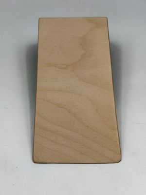 Slaytime Large Kicker Ramp