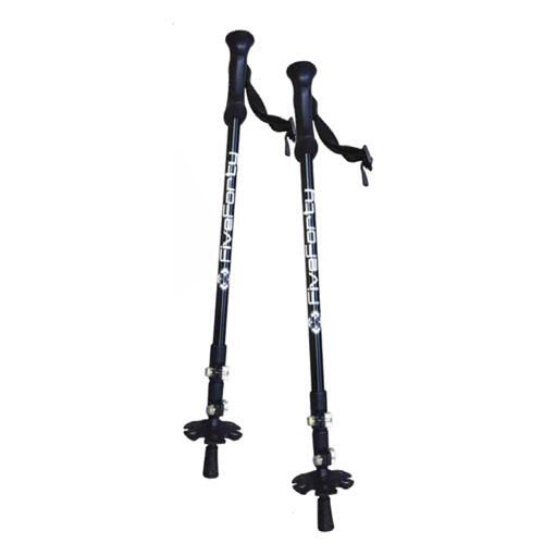 Pôles Snowjam Ajustable