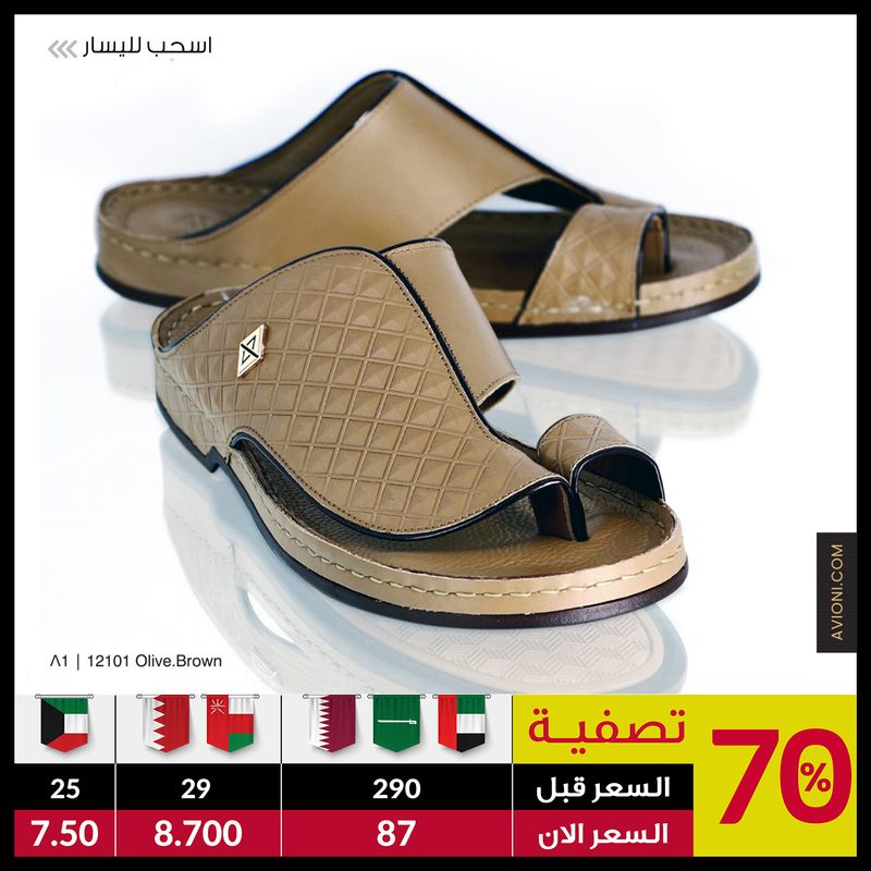 12101 Olive.Brown
