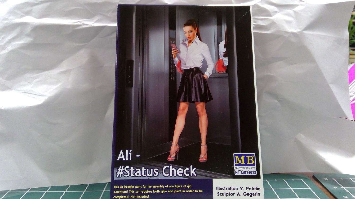 Dangerous Curves Series. Ali - #Status Check Master Box | No. MB24028 | 1:24