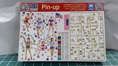 Pin-Up
