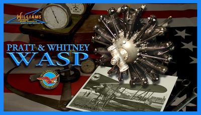 0040-30710-02 Pratt &amp; Whitney Wasp *New Edition*