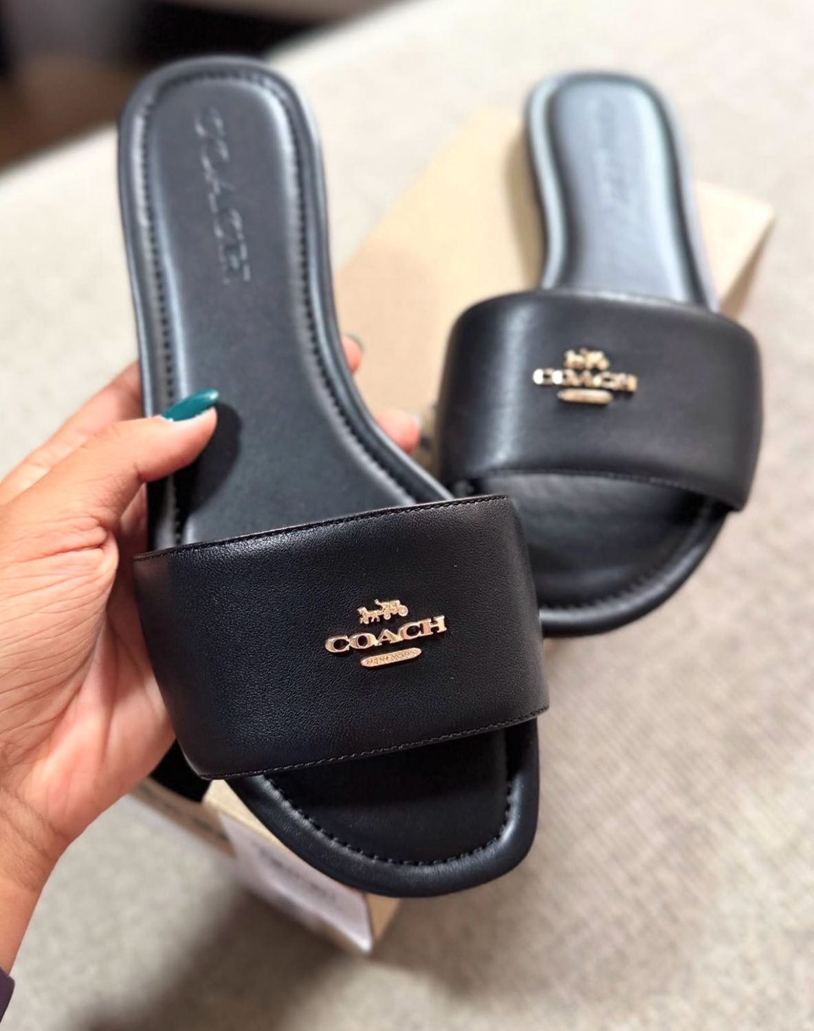 Coach slides