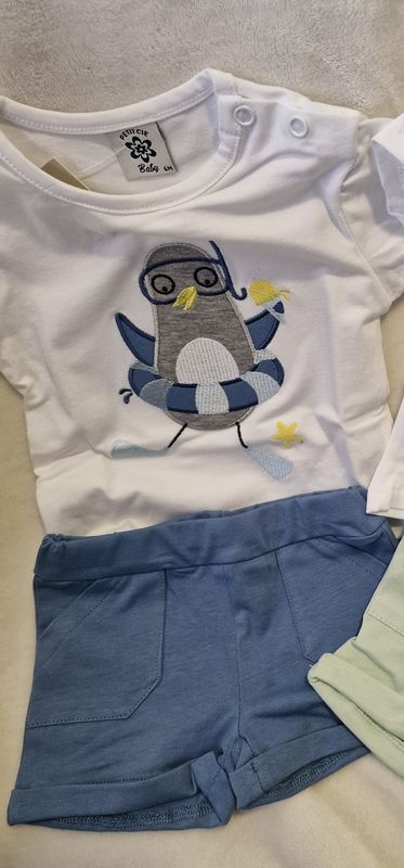 Conjunto pingüino azul