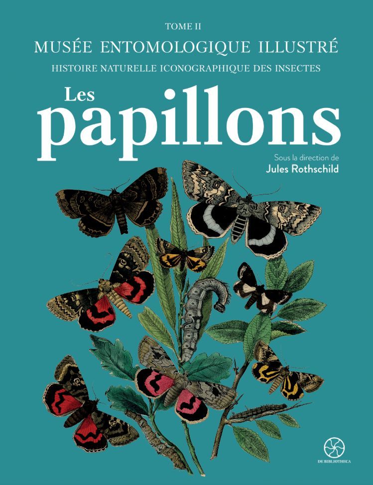 Musée entomologique illustré : les papillons. Jules Rotschild (dir.) Musée entomologique illustré : les papillons. Jules Rotschild (dir.)