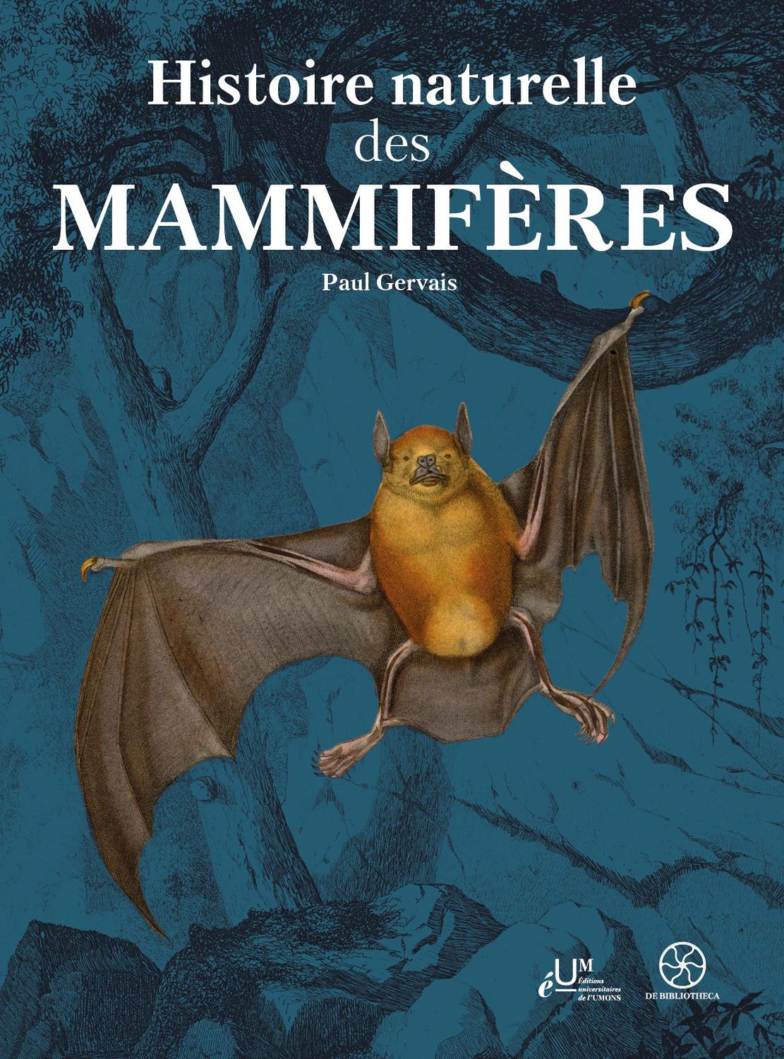 Histoire naturelle des mammifères. Paul Gervais Histoire naturelle des mammifères. Paul Gervais