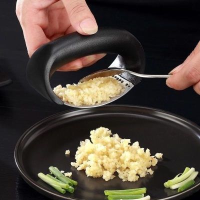 Stainless Steel Garlic Presser- Grinder Ring