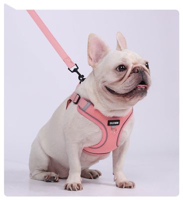 Dog Chest Strap Walking Rope with Dog Tags